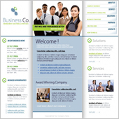 Acuity Infotech - Website Designing