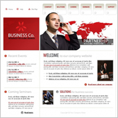 Acuity Infotech - Website Designing