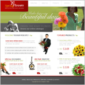 Acuity Infotech - Website Designing